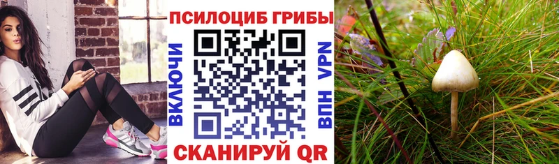 Галлюциногенные грибы ЛСД  Вятские Поляны 